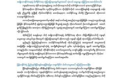 PIC-Swedin-Democrate (51)