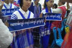 Kayin National Day (11)