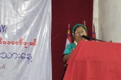 Kayin National Day (4)