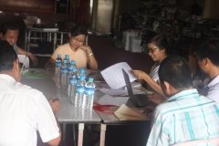 Meeting with MyanFrel (5)