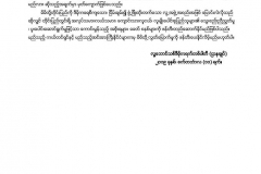 Pathein Labor Demostration (2)