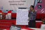 Peace Forum (14)