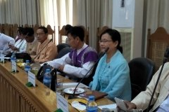 pyihtaungsu_political_parties_2018-Jun_Meeting_4