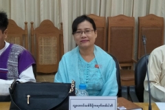 pyihtaungsu_political_parties_2018-Jun_Meeting_6