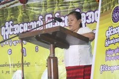 Rakhine Affairs Event (10)