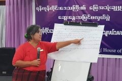 Yangon region land policy (3)