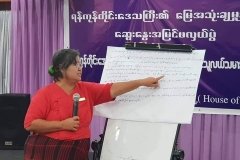 Yangon region land policy (3)
